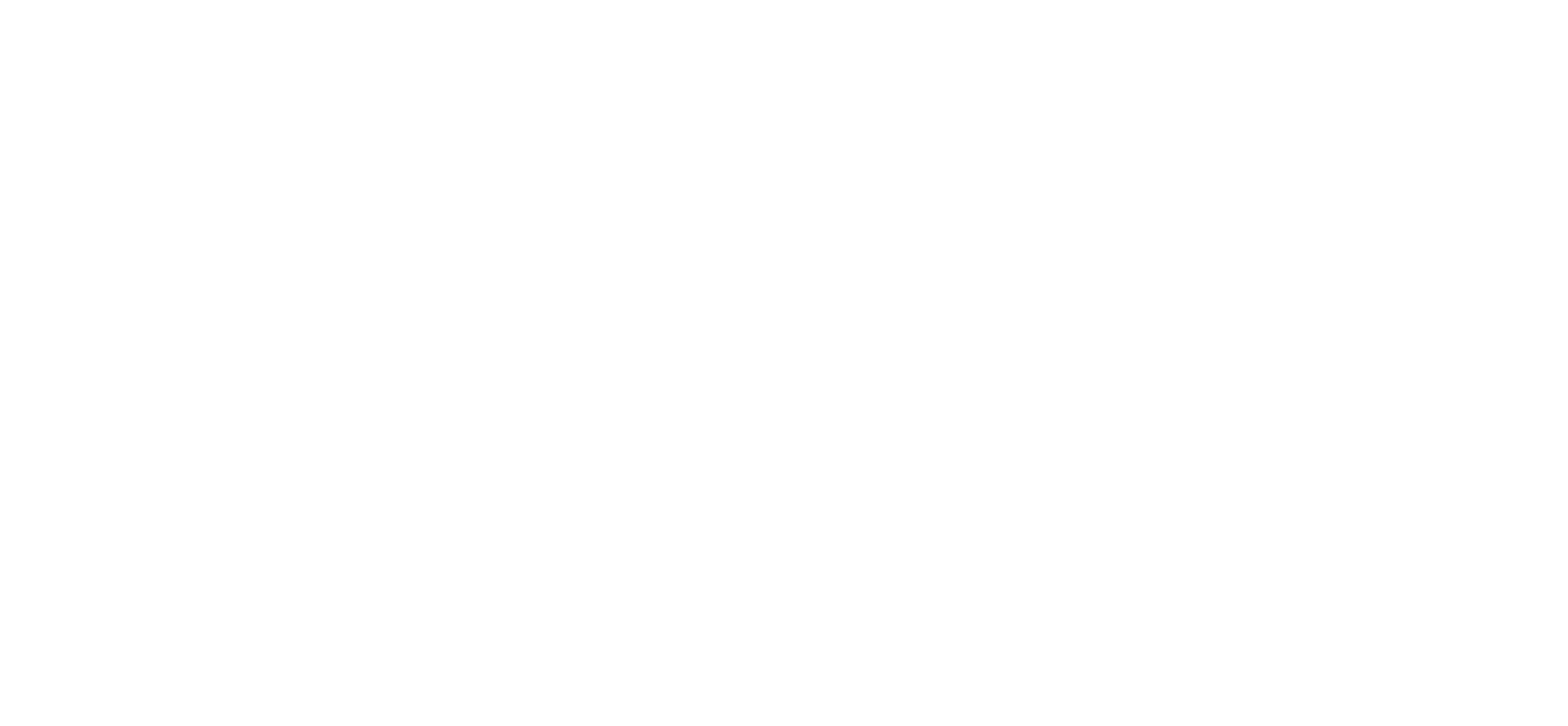 united-brands-AUDIOFOCUS-White-logo